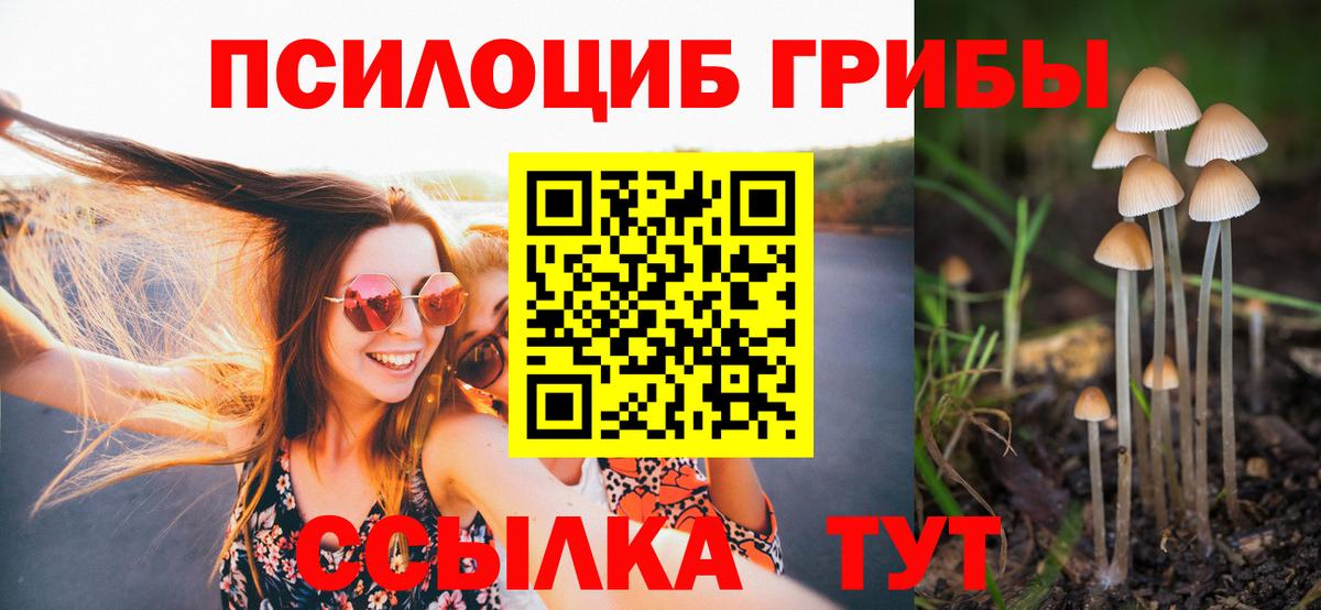 купить закладку  Псилоцибиновые грибы MAGIC MUSHROOMS  Вход с VPN  Биробиджан 