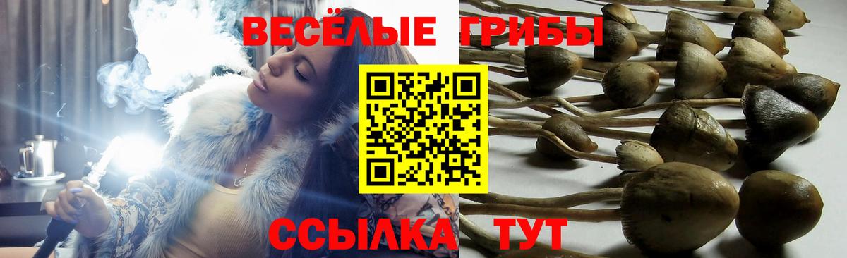 Псилоцибиновые грибы ЛСД Биробиджан