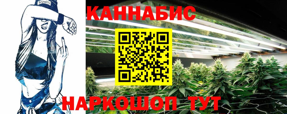 Биробиджан  Бошки Шишки марихуана  Каннабис планчик  Вход с VPN 